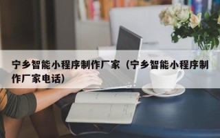 广元宁乡智能小程序制作厂家（宁乡智能小程序制作厂家电话）