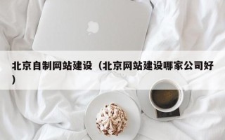 广元北京自制网站建设（北京网站建设哪家公司好）